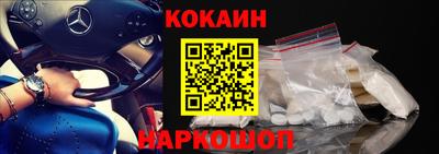 индика Пенза