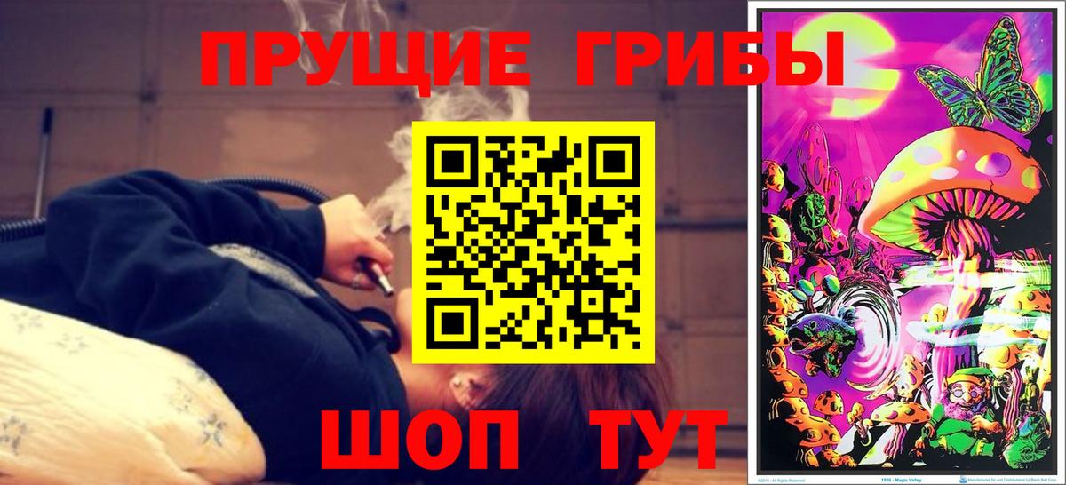 Галлюциногенные грибы мухоморы Сосновый Бор